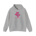 FCP Adult Baseball Hoodie: Pink Pullover